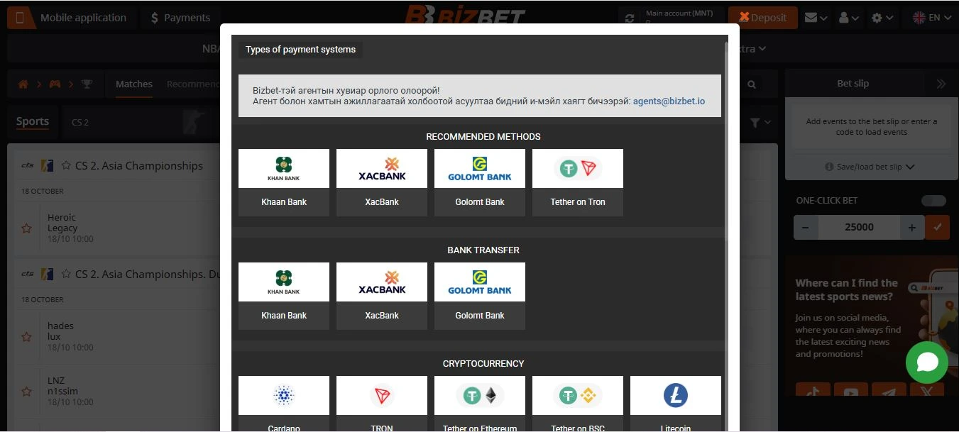 Bizbet payment methods